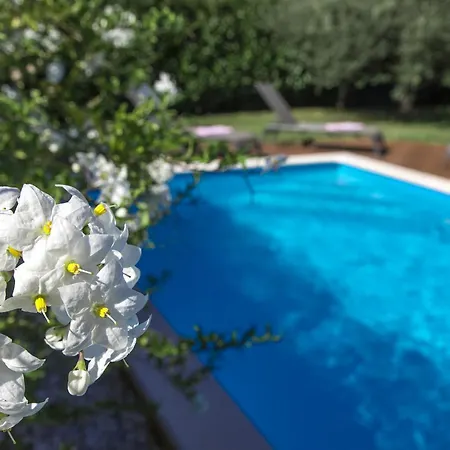 Villa Family Paris *